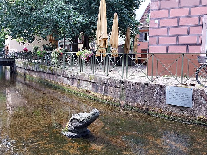 Freiburg, the canal crocodile