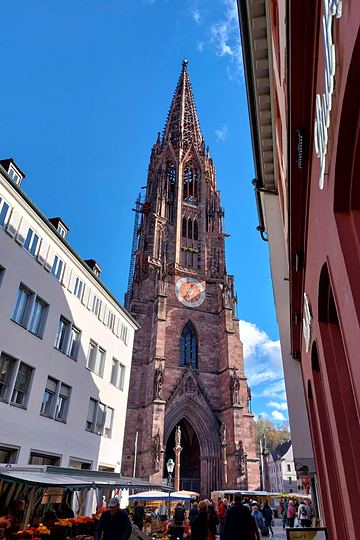 Freiburg, the Minster and the market