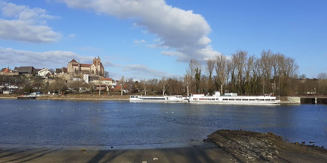 On the banks of the Rhine