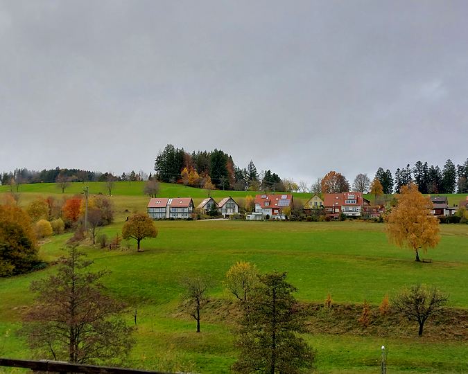 Black Forest, autumn colours