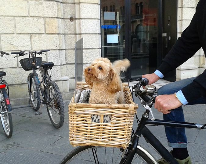 Lucca, by bike