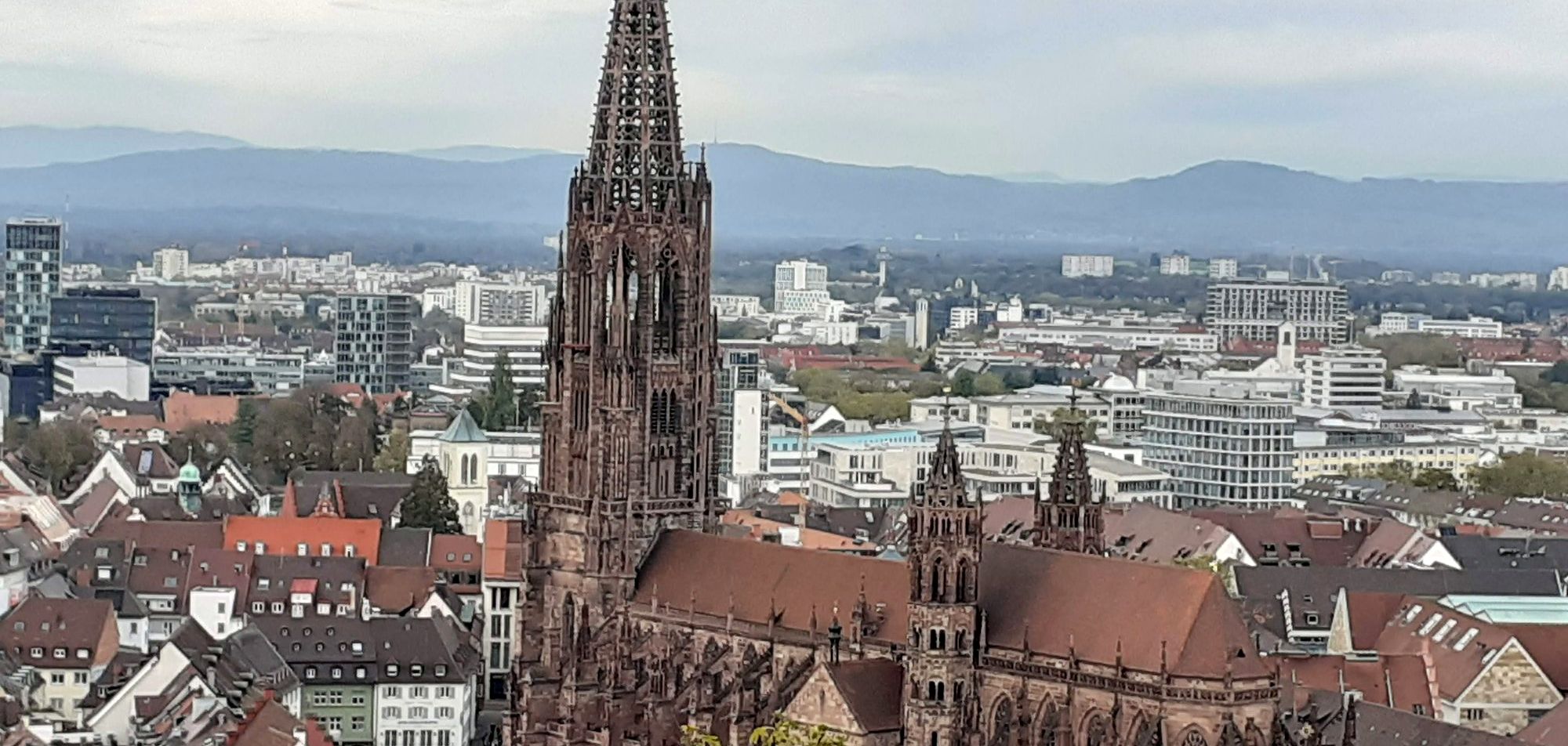Freiburg from above, with the Minster